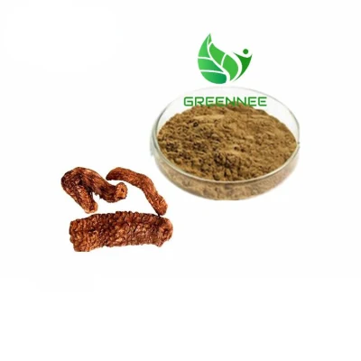 Improve Sexual Performance Natural Water-Soluable 10: 1 Suo Yang Songaria Cynomorium Herb Extract/Cynomorium Songaricum Extract