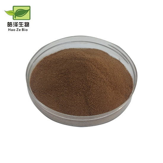 Bulk Instant Coffee and Chicory Mix Powder High Quality Natural Chicory Powder Chicory Coffee Powder