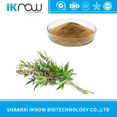 Natural Plant Motherwort Extract/Motherwort Herb P. E/Herba Leonuri Powder Stachydrine 98%