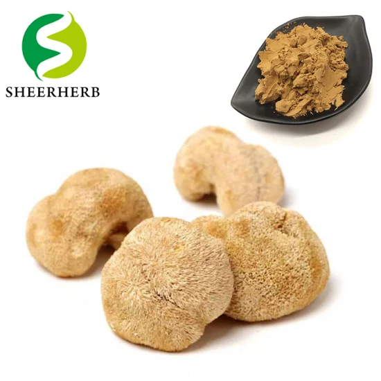 Natural Plant Extract Organic Mushroom Extract Extract for Boosting Immune System Herb Herbal Mushroom Extract