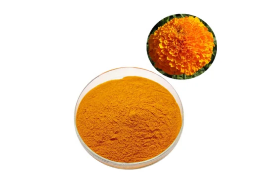 Natural Pigment Xanthophyll / Lutein Powder From Marigold Flower Extract CAS 127-40-2