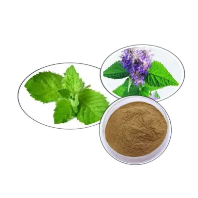Pure Natural Wrinkled Gianthyssop Herb/Agastache Rugosus/Patchouli Extract