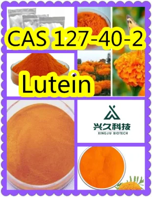 Natural Marigold Flower Extract Beadlet Lutein 5% HPLC